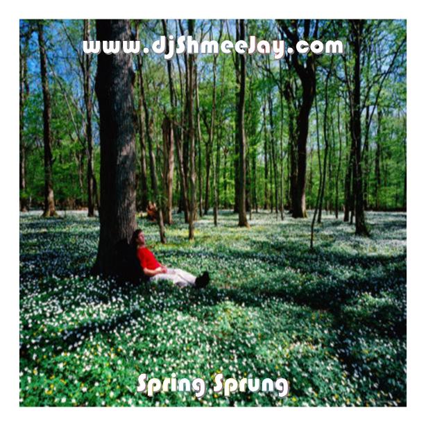djShmeeJay_Spring Sprung
