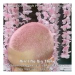 acid-dad-crash-pad_aint-no-big-thing-freq2