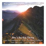 Alex Harrington_Ain’t No Big&nbsp;Thing-Freq2