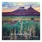 Fat Bitch and the Booty Boss_Ain’t No Big&nbsp;Thing-Freq2