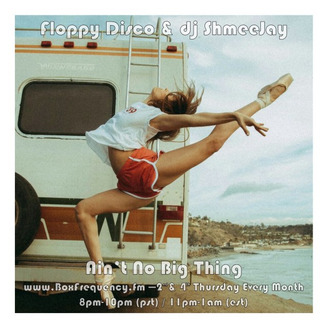 Floppy Disco_Ain't No Big Thing-Freq2