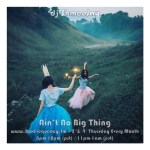 shmeejay-solo_aint-no-big-thing-freq2
