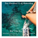 tee-cardaci_aint-no-big-thing-freq2