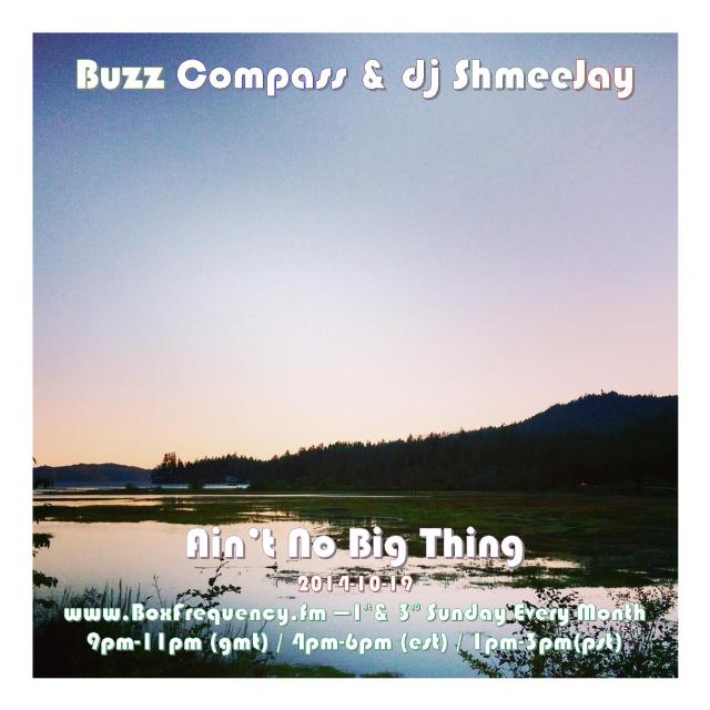 Buzz Compass_Ain't No Big Thing-Freq2