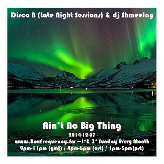 DiscoB_Ain't No Big Thing-Freq