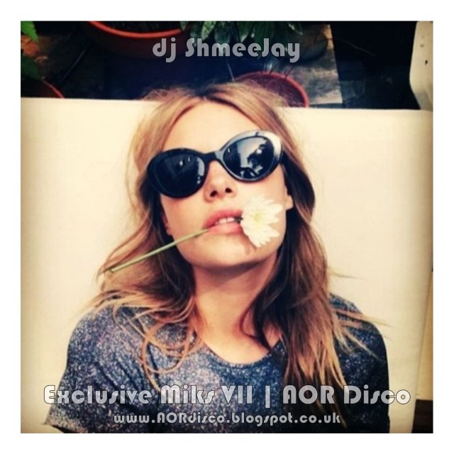 djShmeeJay_AOR Disco Miks VII