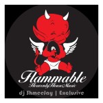 dj ShmeeJay_Flammable