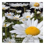 Futurewife_Ain’t No Big&nbsp;Thing-Freq2