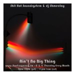 Shit Hot Soundsystem_Ain’t No Big&nbsp;Thing-Freq2