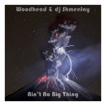 Woodhead_Ain’t No Big&nbsp;Thing-Freq2
